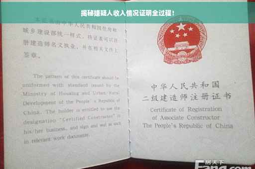 揭秘嫌疑人收入情况证明全过程！