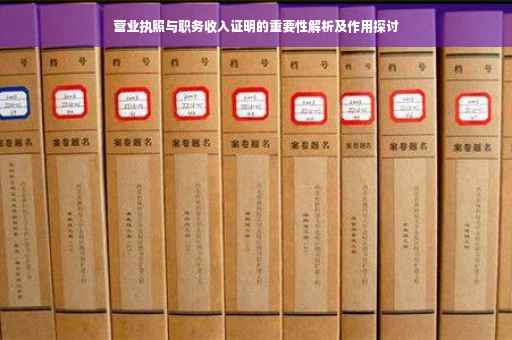 营业执照与职务收入证明的重要性解析及作用探讨