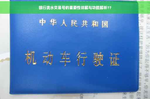 银行流水交易号的重要性详解与功能解析??