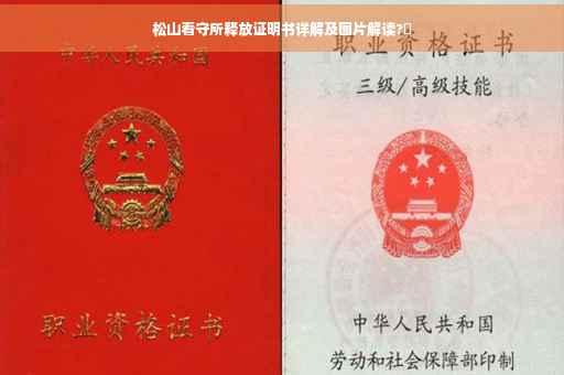松山看守所释放证明书详解及图片解读?✨