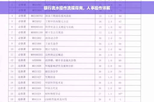 银行流水操作流程指南，人事操作详解