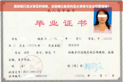 揭秘银行流水背后的秘密，法院难以触及的流水真相与违法犯罪揭秘?