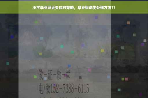 小学毕业证丢失应对策略，毕业照遗失处理方法??