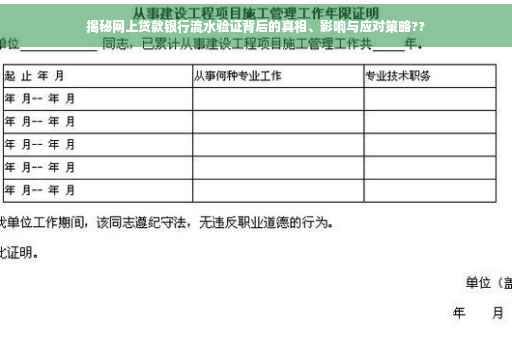 揭秘网上贷款银行流水验证背后的真相、影响与应对策略??