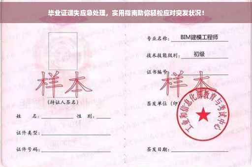毕业证遗失应急处理，实用指南助你轻松应对突发状况！