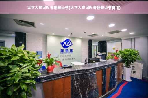 大学大专可以考哪些证书(大学大专可以考哪些证书有用)