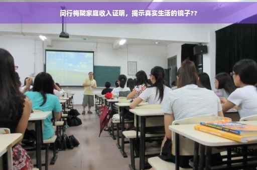 闵行梅陇家庭收入证明，揭示真实生活的镜子??