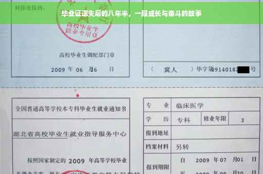 毕业证遗失后的八年半，一段成长与奋斗的故事