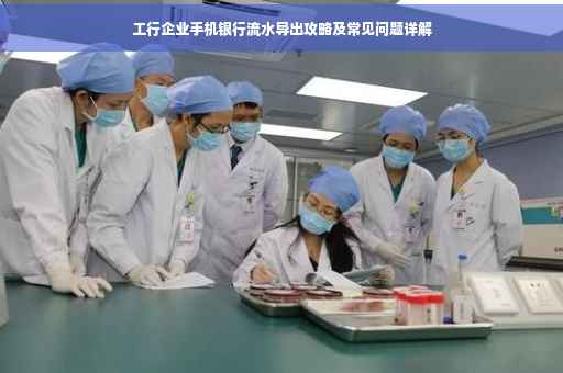 工行企业手机银行流水导出攻略及常见问题详解