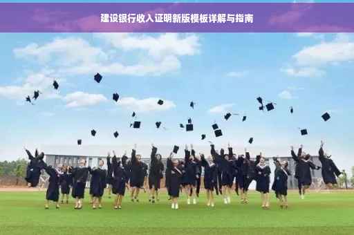 建设银行收入证明新版模板详解与指南
