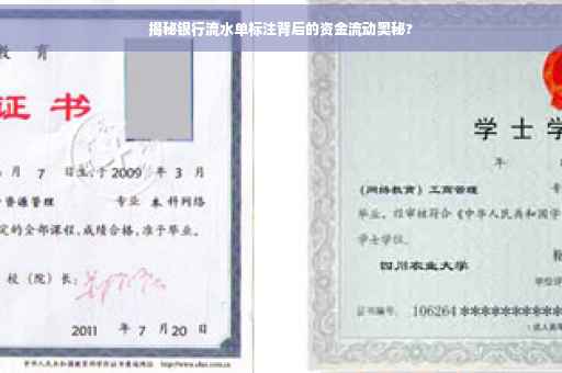 揭秘银行流水单标注背后的资金流动奥秘?