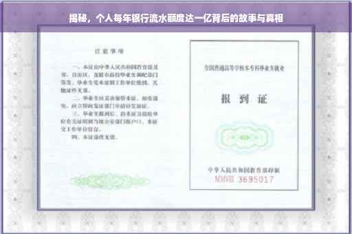 揭秘，个人每年银行流水额度达一亿背后的故事与真相