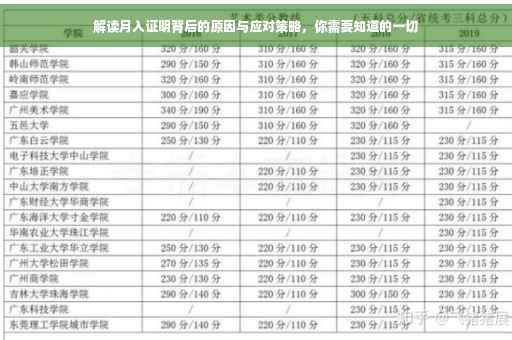 解读月入证明背后的原因与应对策略，你需要知道的一切