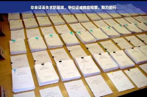 毕业证丢失求职困境，学位证成救命稻草，助力前行