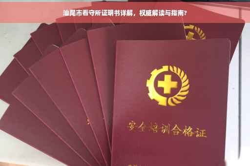 汕尾市看守所证明书详解，权威解读与指南?
