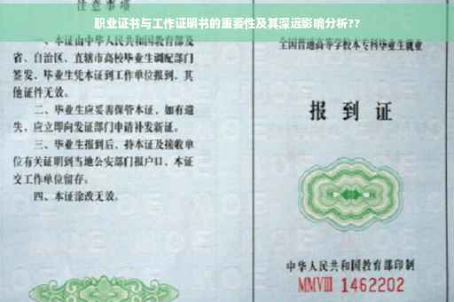 职业证书与工作证明书的重要性及其深远影响分析??