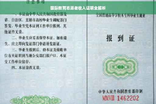 国际教育志愿者收入证明全解析