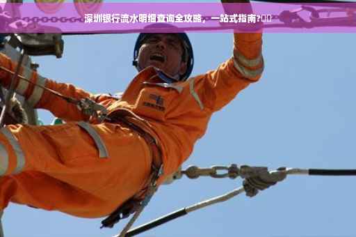 深圳银行流水明细查询全攻略，一站式指南?⚡️