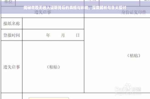揭秘花呗无收入证明背后的真相与影响，深度解析与含义探讨