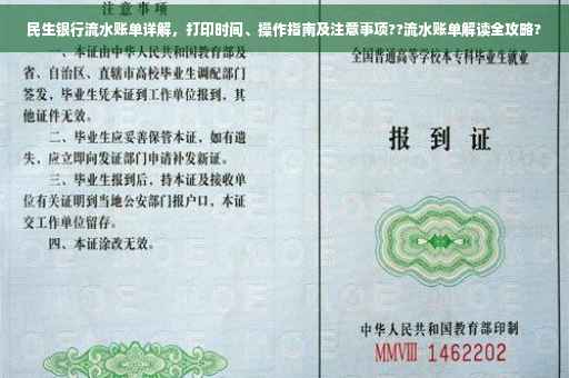 民生银行流水账单详解，打印时间、操作指南及注意事项??流水账单解读全攻略?