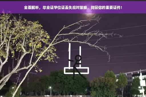 全面解析，毕业证学位证丢失应对策略，找回你的重要证件！