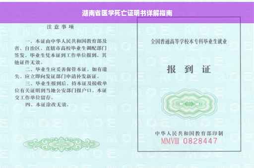 湖南省医学死亡证明书详解指南