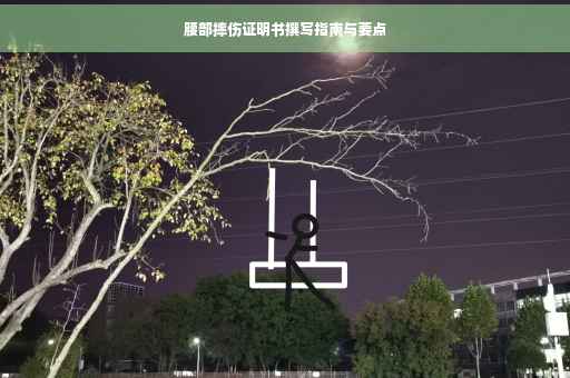 腰部摔伤证明书撰写指南与要点