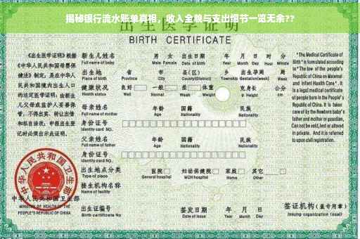揭秘银行流水账单真相，收入全貌与支出细节一览无余??