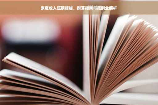 家庭收入证明模板，撰写指南与范例全解析