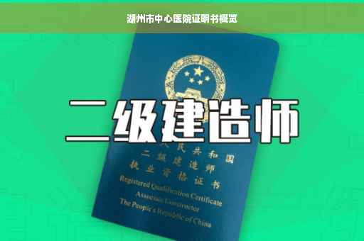 湖州市中心医院证明书概览