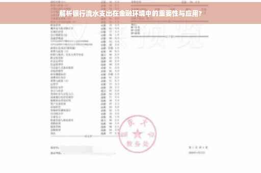 解析银行流水支出在金融环境中的重要性与应用?