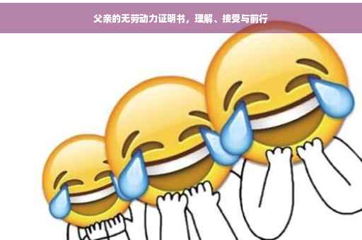 父亲的无劳动力证明书，理解、接受与前行