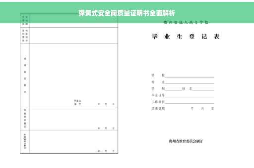 弹簧式安全阀质量证明书全面解析