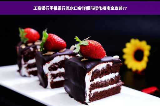工商银行手机银行流水口令详解与操作指南全攻略??