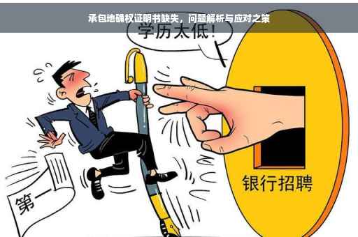 承包地确权证明书缺失，问题解析与应对之策