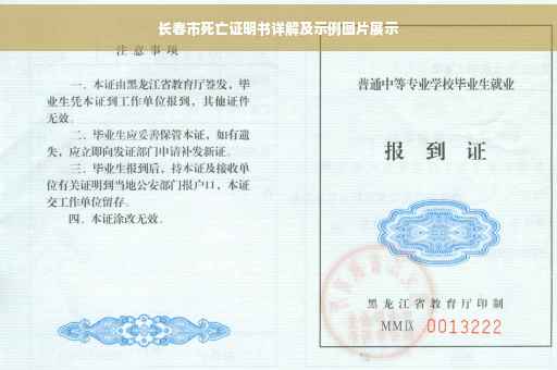 长春市死亡证明书详解及示例图片展示