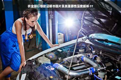 农业银行存款证明书图片及其重要性深度解析 ??