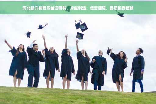 河北新兴铸管质量证明书，卓越制造，信誉保障，品质值得信赖