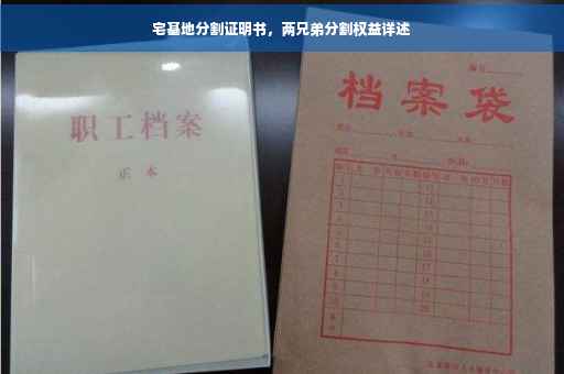 宅基地分割证明书，两兄弟分割权益详述