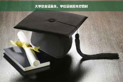 大学毕业证虽失，学位证依旧光芒四射