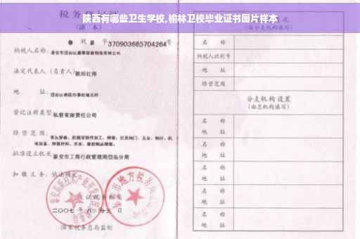 陕西有哪些卫生学校,榆林卫校毕业证书图片样本
