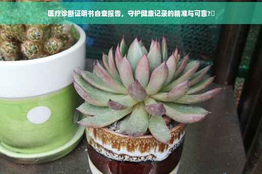医疗诊断证明书自查报告,守护健康记录的精准与可靠?✨ 医疗诊断证明书自查报告,守护健康记录的精准与可靠?✨