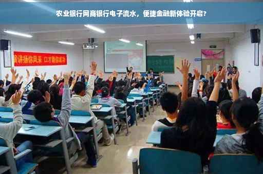 农业银行网商银行电子流水，便捷金融新体验开启?