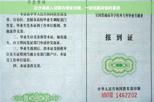 白沙县收入证明办理全攻略，一站式解决你的需求