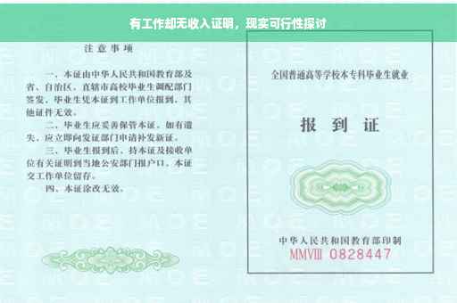 有工作却无收入证明，现实可行性探讨