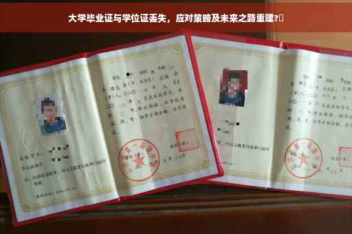 大学毕业证与学位证丢失，应对策略及未来之路重建?✨