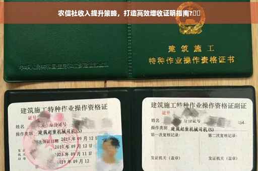 农信社收入提升策略，打造高效增收证明指南?⚡️