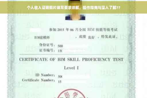 个人收入证明照片填写要求详解，操作指南与深入了解??