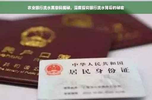 农业银行流水黑章码揭秘，深度探究银行流水背后的秘密