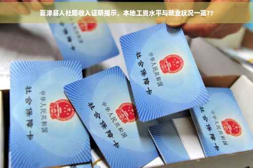 夏津县人社局收入证明揭示，本地工资水平与就业状况一览??